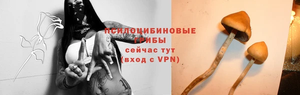 мескалин Краснослободск