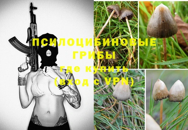 мескалин Краснослободск