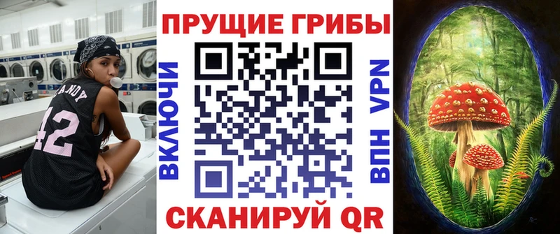 Купить  Покачи  Псилоцибиновые грибы ЛСД 